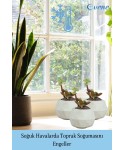Mini Çiçek Saksı Küçük Sukulent Beyaz Kaktüs Saksısı 3lü Set Mini Poly Silindir Model